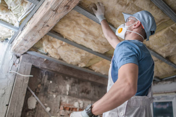Best Eco-Friendly Insulation in Fellsburg, PA